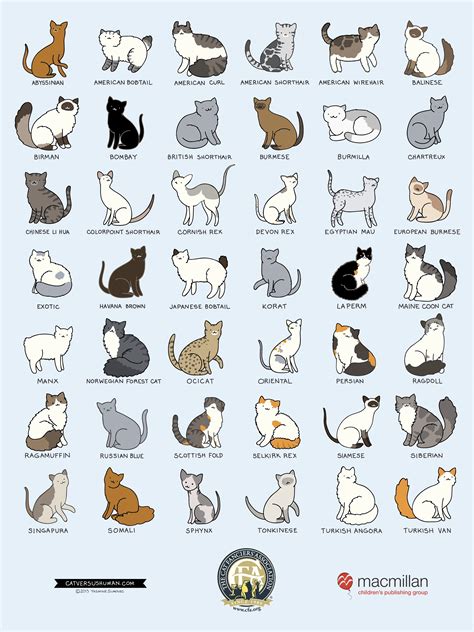 Identification Cat Breeds Chart