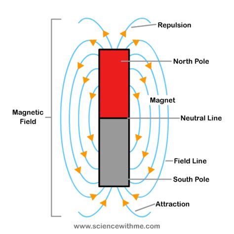 Learn about Magnets | Magnets science, Science activities, Third grade ...