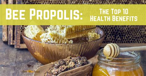 Health Benefits of Propolis