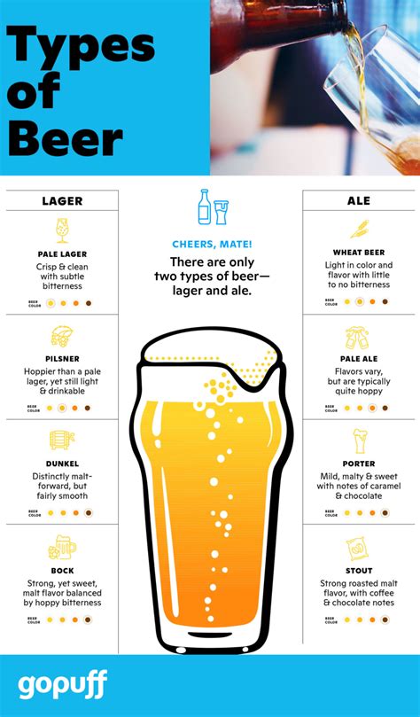 Types of Beer: The Ultimate Guide | Types of beer, Beer, Beer education