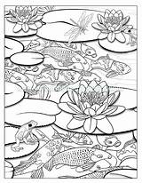 Pond Coloring Pages Printable Sketch Page sketch template