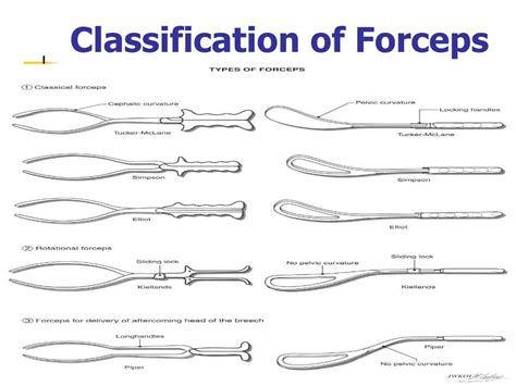 Delivery Forceps Types