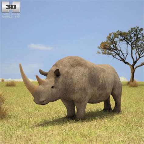 Woolly Rhinoceros 3D model | CGTrader