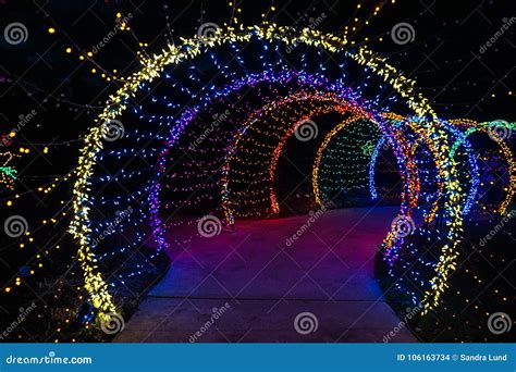 Christmas light tunnel stock photo. Image of garden - 106163734