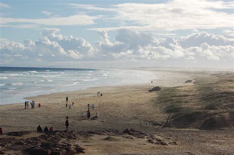 Sand Dunes Port Stephens Free Photo Download | FreeImages