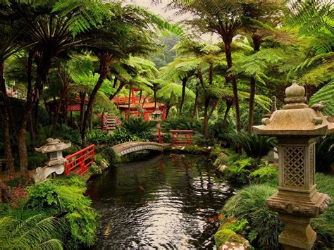 Japanese Zen Garden Wallpaper (56+ images)