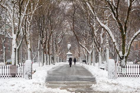 What’s the best part of a Boston winter? - Curbed Boston