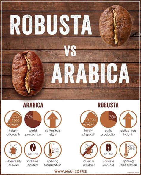 The Rise of Robusta | Coffee recipes, Coffee drink recipes, Robusta coffee