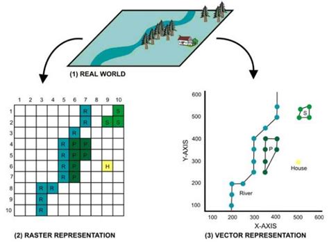 12 GIS Vector Raster Images - Vector and Raster Data GIS, Vector and Raster Data GIS and Vector ...