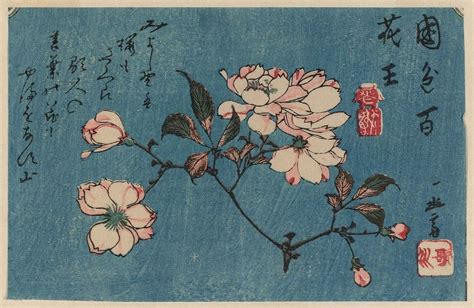 Utagawa Hiroshige, Cherry Blossoms, date unknown | Antique art prints, Hiroshige, Japanese art