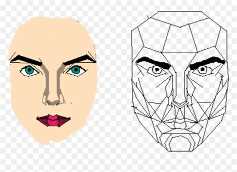 The Golden Ratio Face - Golden Ratio Face Png, Transparent Png - vhv