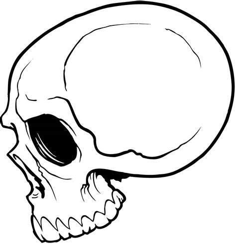 Skull Tattoo Template