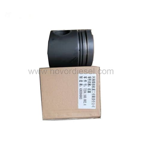 Piston for MWM Engine Spare Parts China