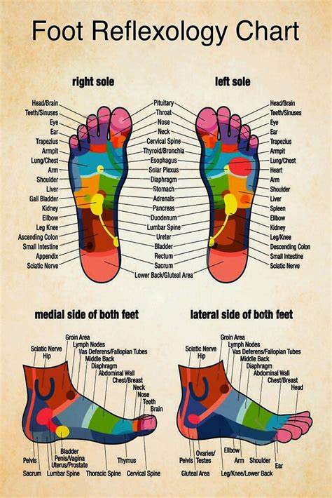 Female Foot Reflexology Chart | edu.svet.gob.gt