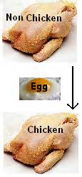 The Chicken And The Egg Problem - A View Of Evolution | Science 2.0