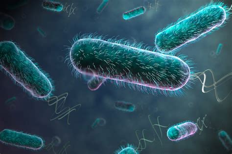 E. coli strain engineering • GEN-H