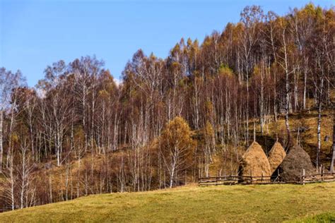 Haystack Silhouette Stock Photos, Pictures & Royalty-Free Images - iStock