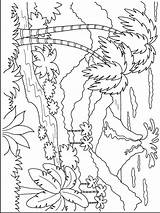 Hawaii Coloring Pages For Kids sketch template