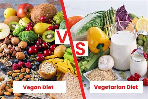 Plant-Based Vs Vegan Food: Know the Difference and Key Facts