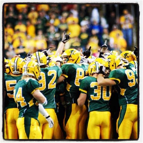 12 best images about •NDSU - Bison!• on Pinterest