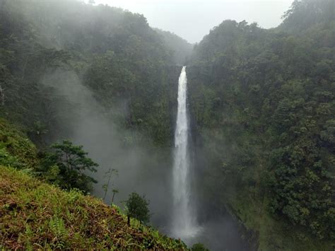 A Complete Hiking Guide To Akaka Falls State Park - The Simple Hiker