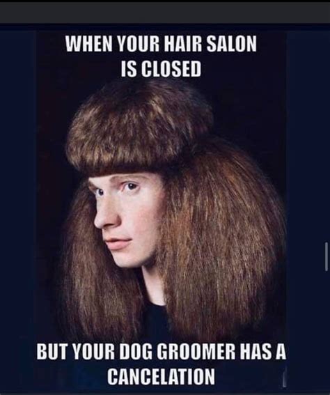 bad hair day Memes - Imgflip