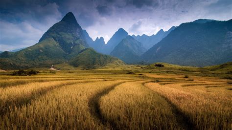 Download Indochina Vietnam Mountain Mount Fansipan Nature Field HD Wallpaper by Por Pathompat