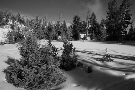 Yellowstone In Winter on Behance