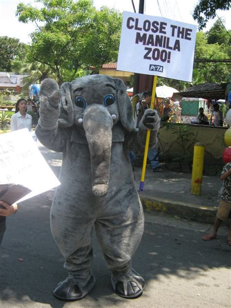 PETA's "Elephant" Leads Manila Zoo Protest | BLOG-PH.com — Top Philippines Lifestyle Blog