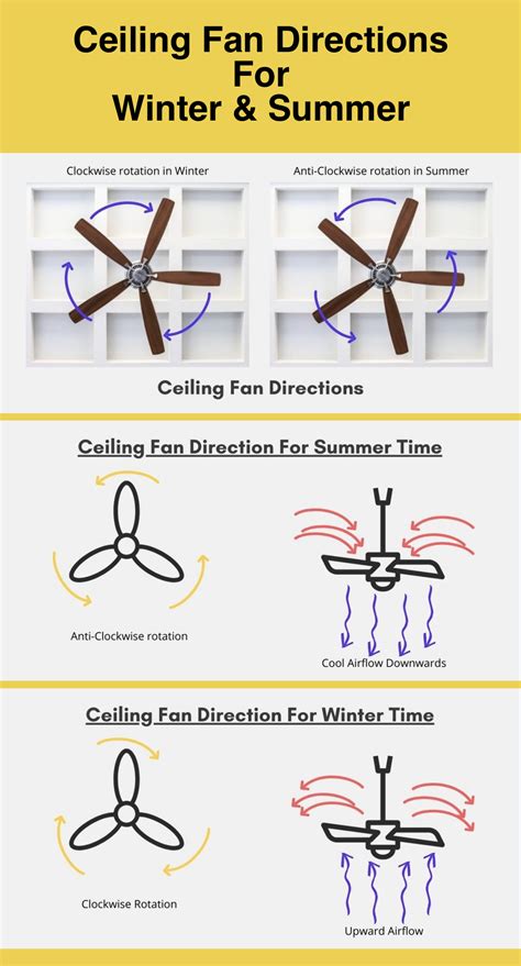 Ceiling Fan Directions for Summer vs Winter [Infographic]