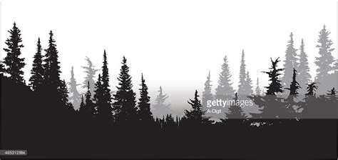 A vector silhouette illustration of a tree line of dense forest pine... | Forest silhouette ...