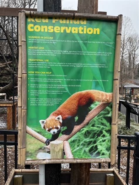 Red Panda Conservation Historical Marker