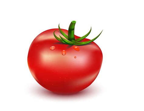 Tomato with Water Droplets and Green Leaves