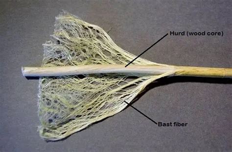 Hemp Fiber: Properties, Processing and Uses - Textile Blog