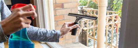 5 Best Window Squeegees - Aug. 2022 - BestReviews