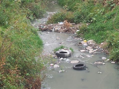 La contaminación ambiental : cuida el medio ambiente...