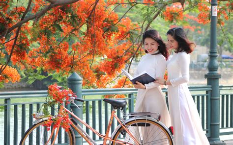 Flowers in Vietnam: 8 Things You want to Know | Vietnam Travel