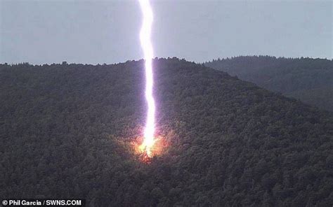 Un Rayo Explota Un árbol En Una Foto Perfectamente Sincronizada