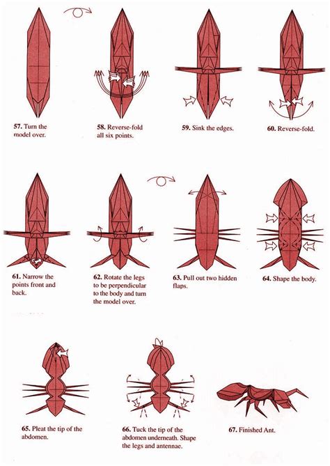 Origami Horse Diagram Pdf – All in Here