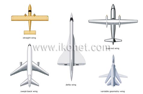 transport and machinery > air transport > examples of wing shapes image ...