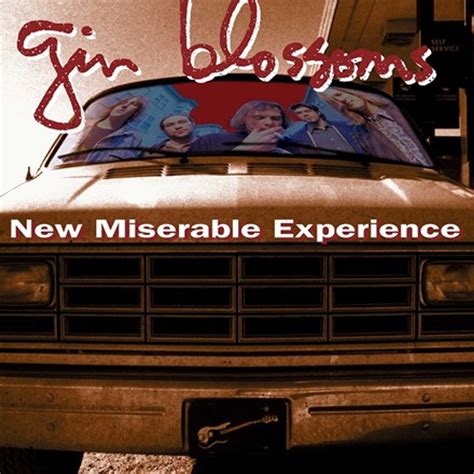 Gin Blossoms - New Miserable Experience (Vinyl LP) * * * - Music Direct