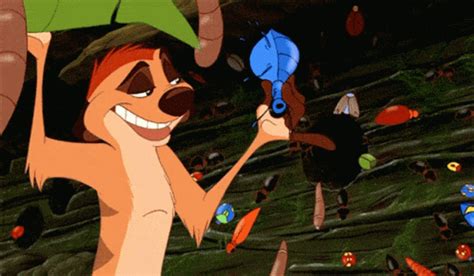 Timon And Pumbaa Eating Bugs GIFs | Tenor