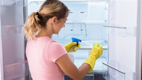 Need to Deep Clean Your Appliances? Learn Our Experts Tips in Time for ...