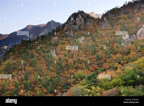 Seoraksan National Park fall colors, South Korea Stock Photo - Alamy