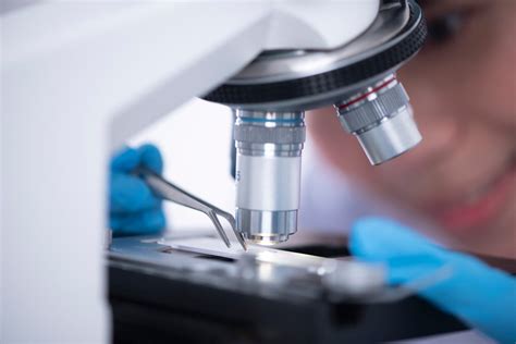 Unrecognizable scientist using microscope in lab · Free Stock Photo