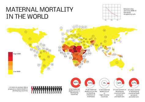 Maternal Death by causes and geography: Postpartum Hemorrhage is the top cause | by ...