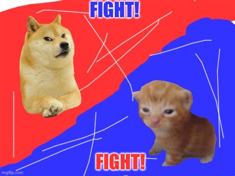 Dog cat fight!! - Imgflip