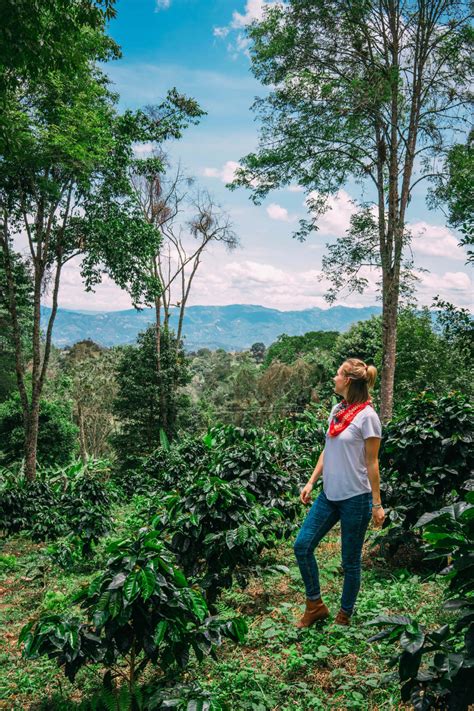 This is the Colombian Coffee Farm You Need to Visit | Wanderluluu