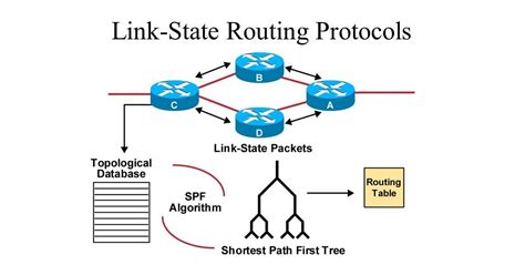 Why does distance vector routing scale better than link state routing ...