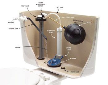 Toilet Tank Parts: How a Toilet Works and Easy Fixes